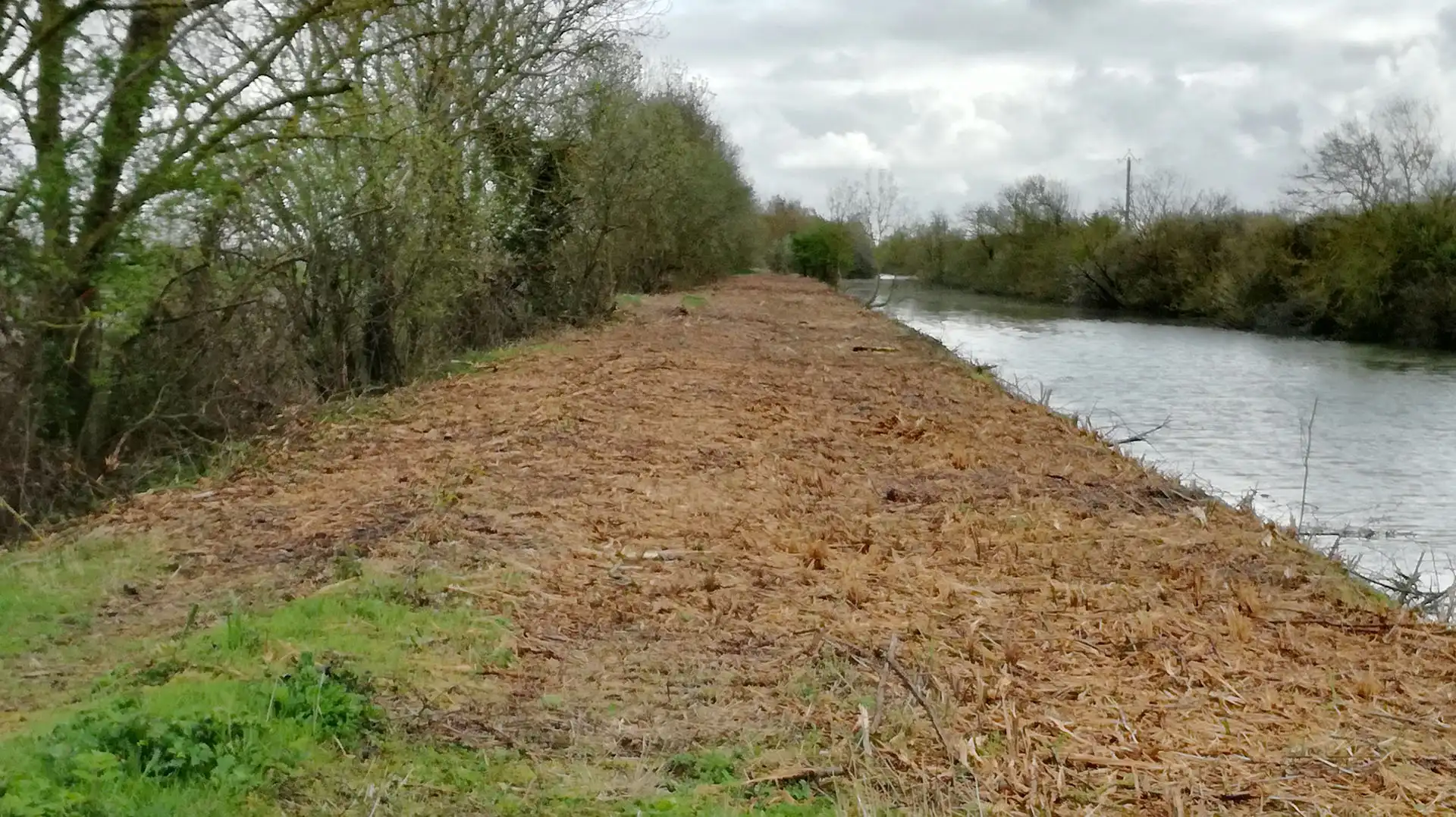 Travaux de broyage de végétaux à Champagné les Marais par CEPM Travaux publics